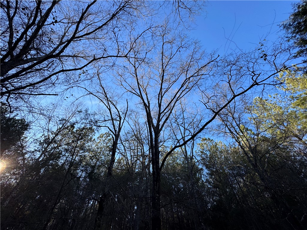 6620 Liberty Highway