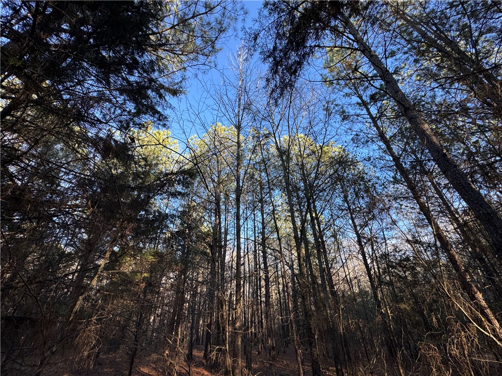 6620 Liberty Highway