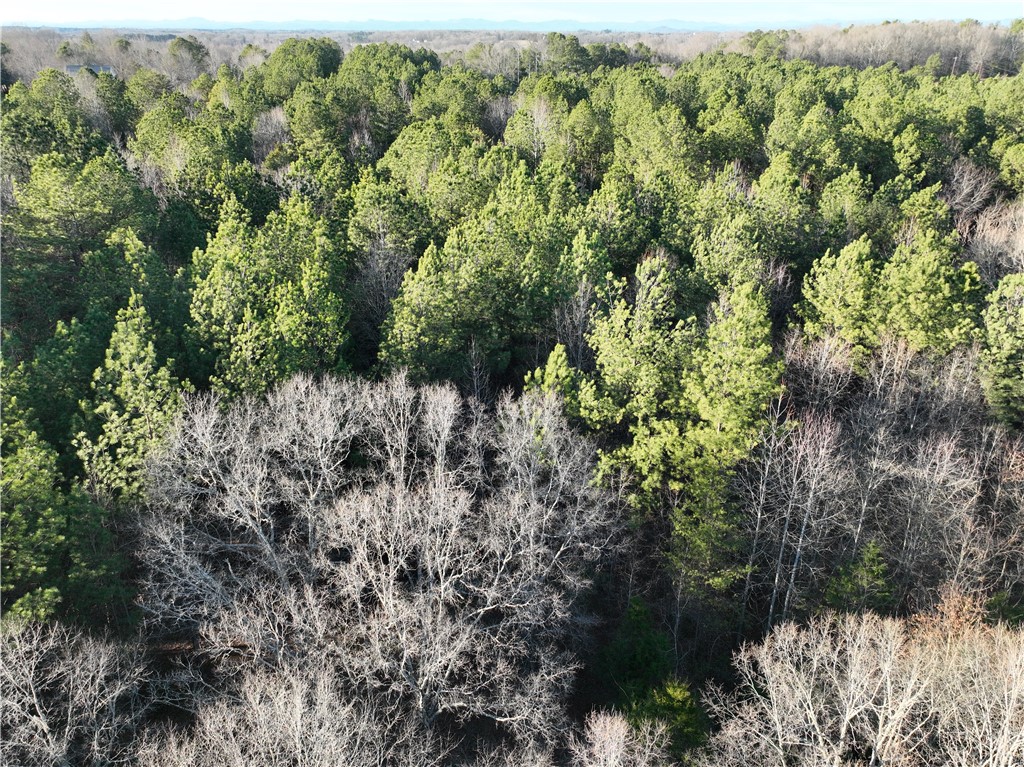 6620 Liberty Highway