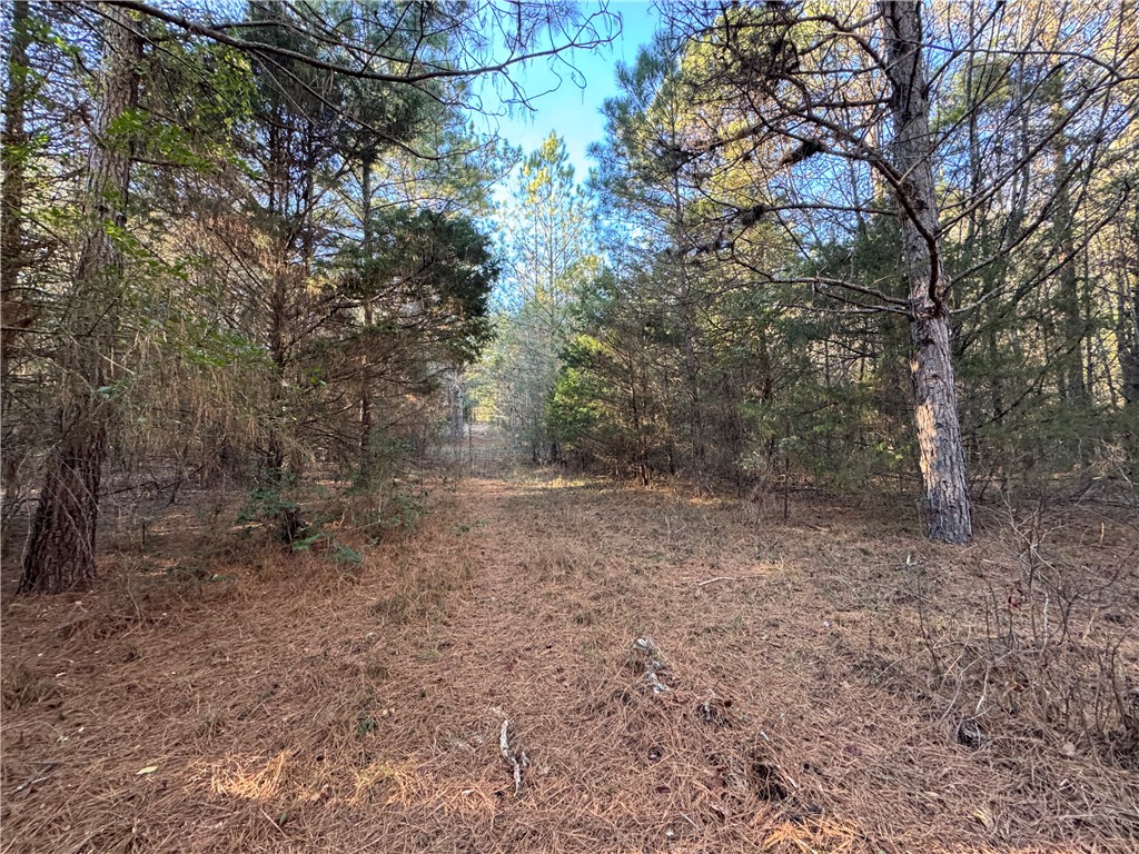 6620 Liberty Highway