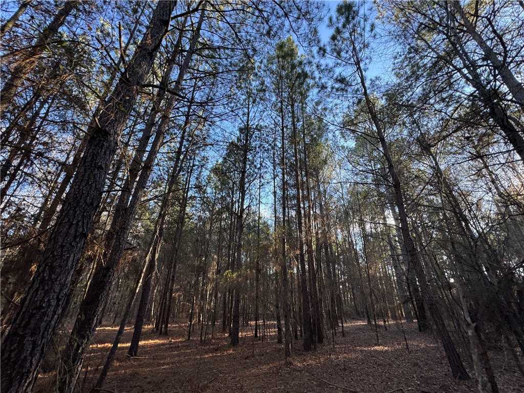 6620 Liberty Highway