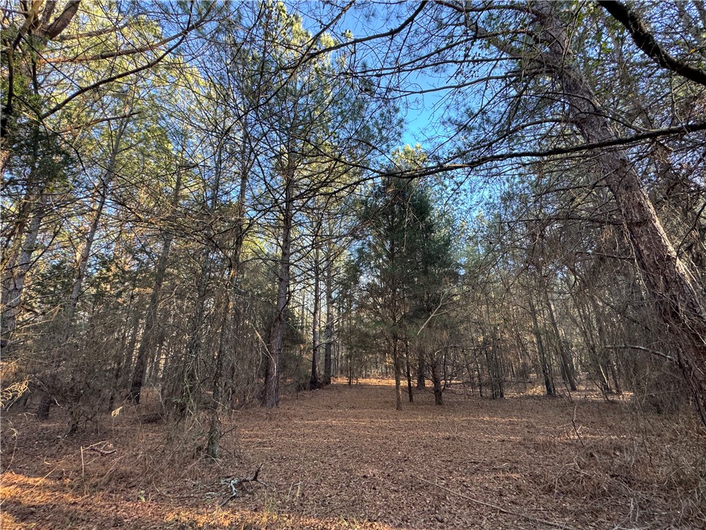 6620 Liberty Highway