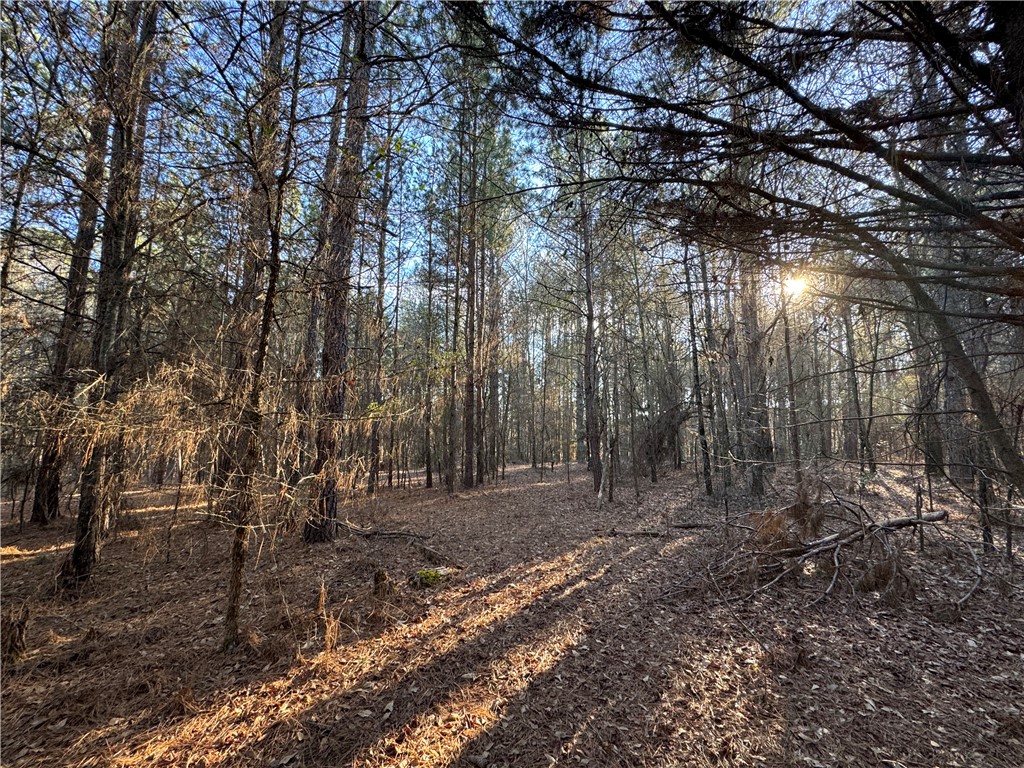 6620 Liberty Highway