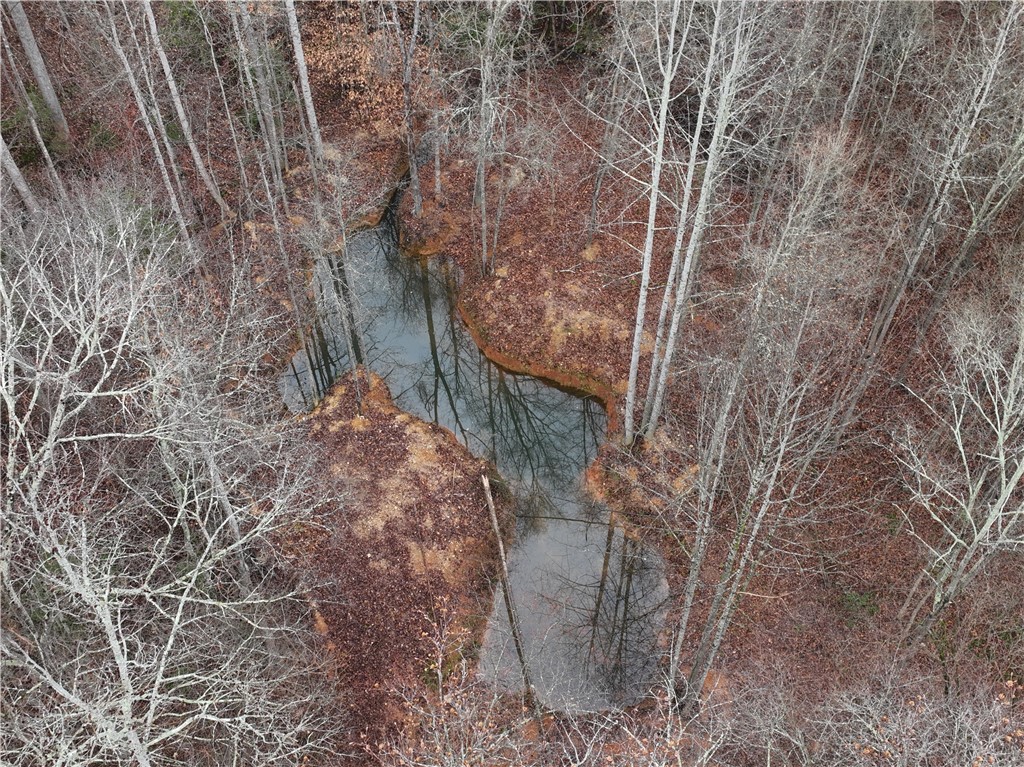 615 Generostee Church Road