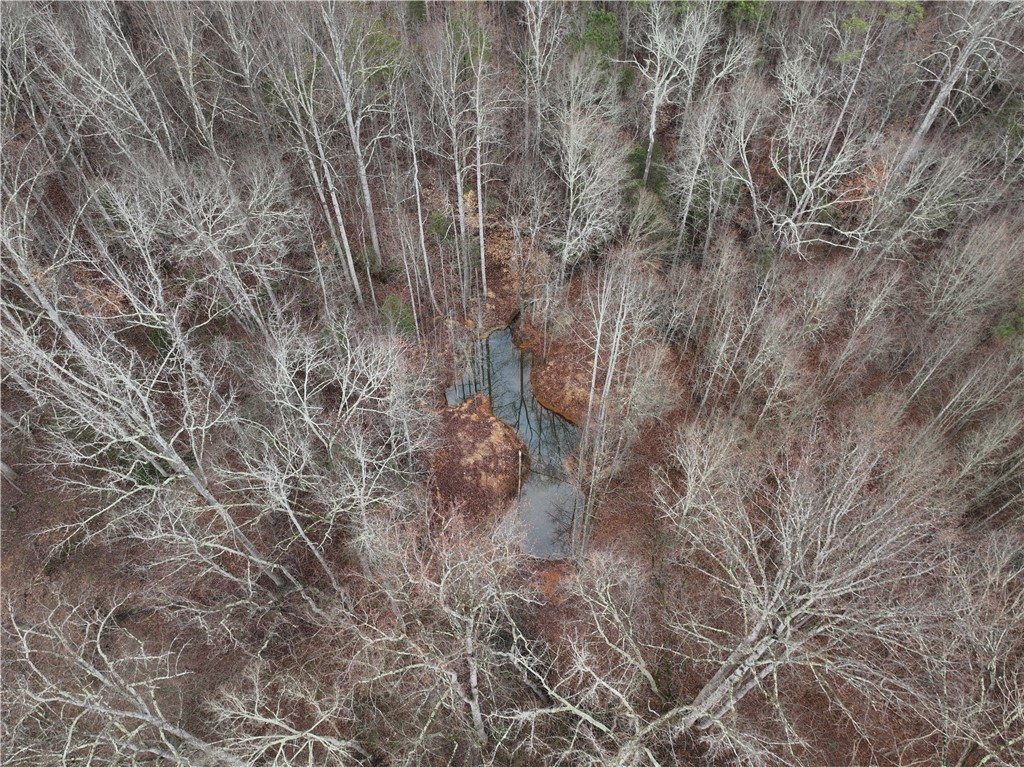 615 Generostee Church Road