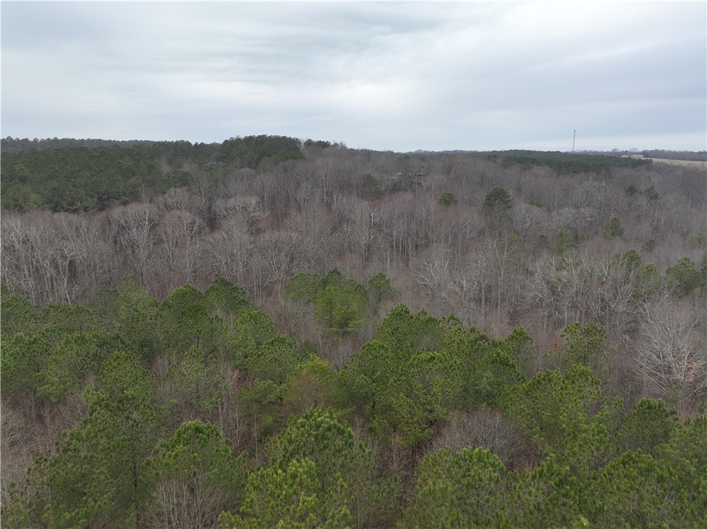 615 Generostee Church Road