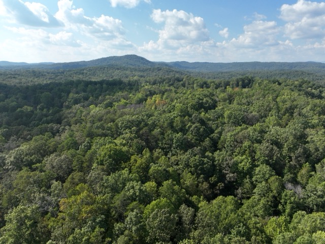 TR 3 Cobb Bridge Road