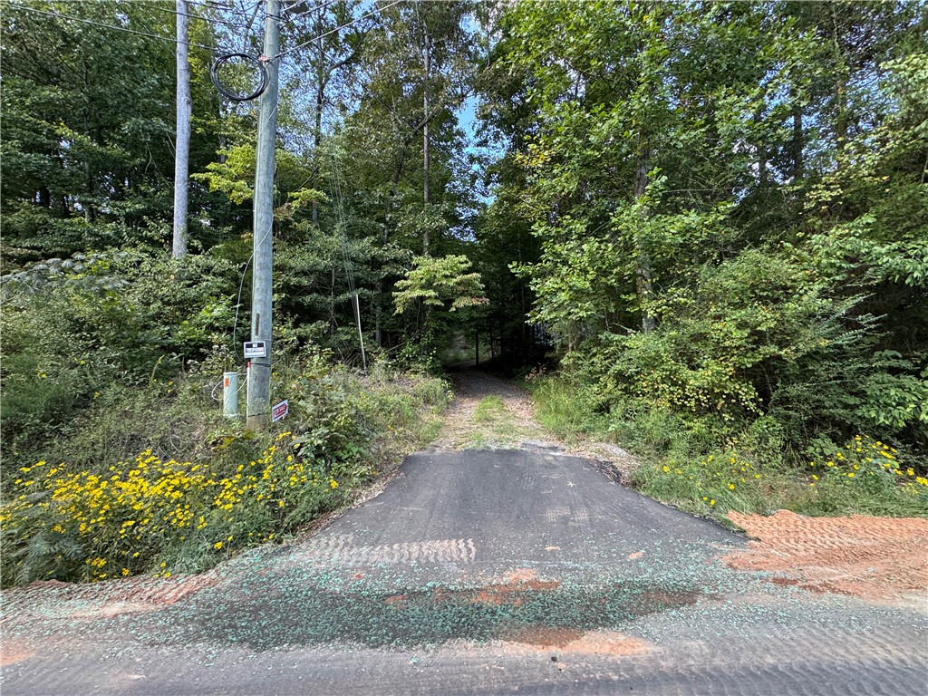 TR 3 Cobb Bridge Road