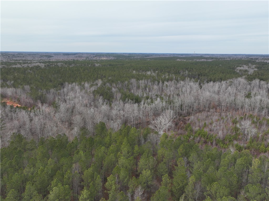 136 Highway 28 South