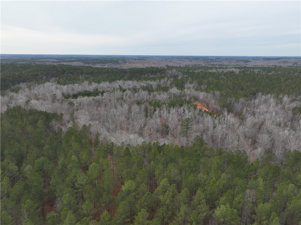 136 Highway 28 South