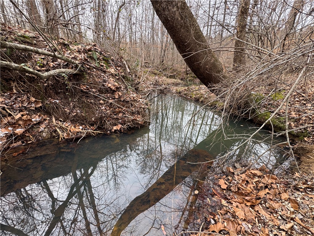 136 Highway 28 South