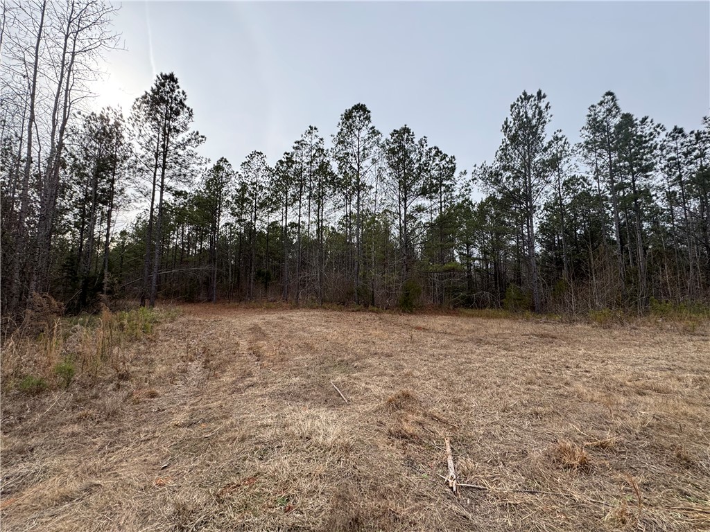 136 Highway 28 South