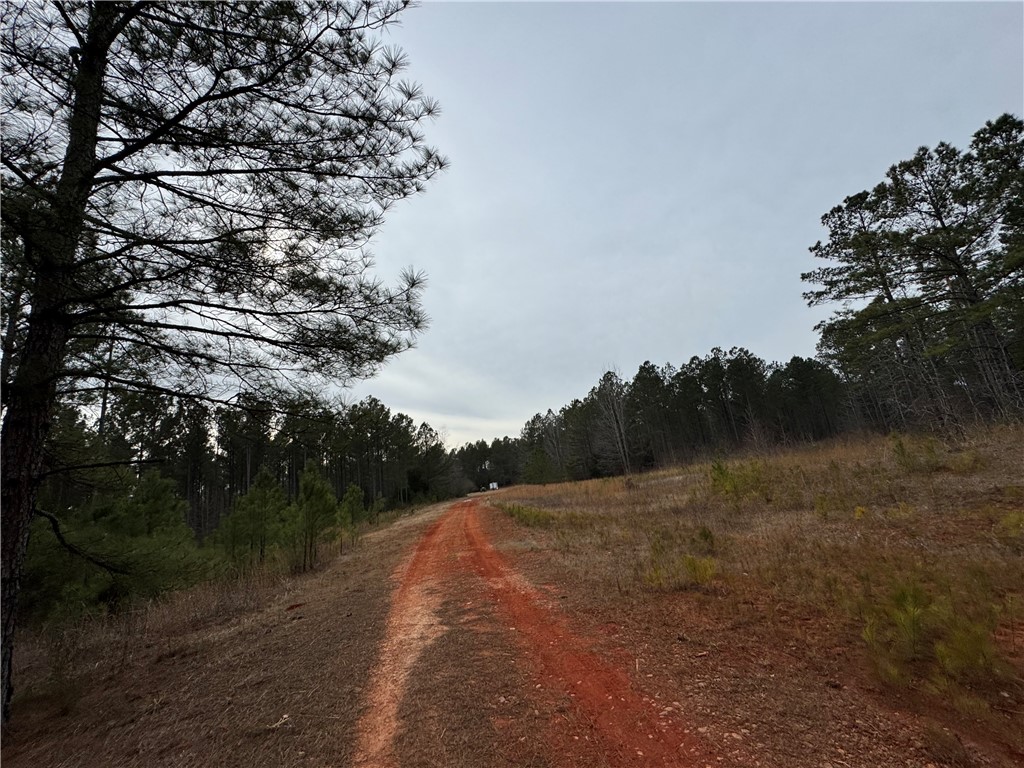 136 Highway 28 South