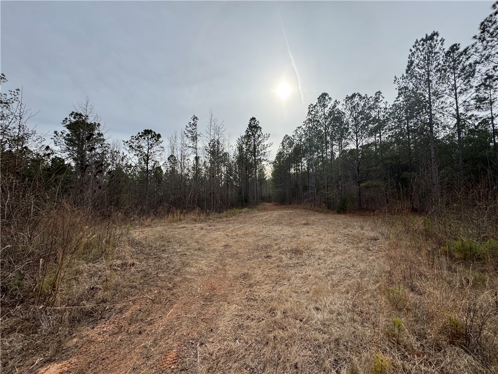 136 Highway 28 South