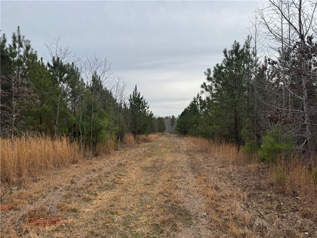 136 Highway 28 South