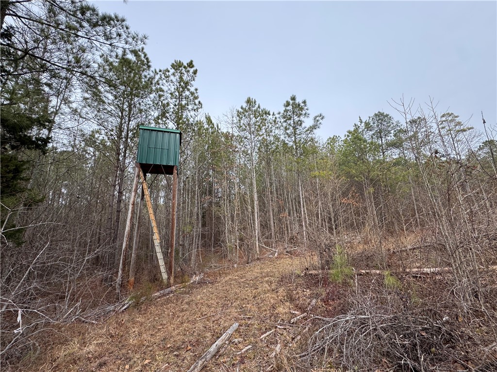 136 Highway 28 South