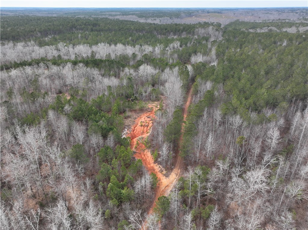 136 Highway 28 South