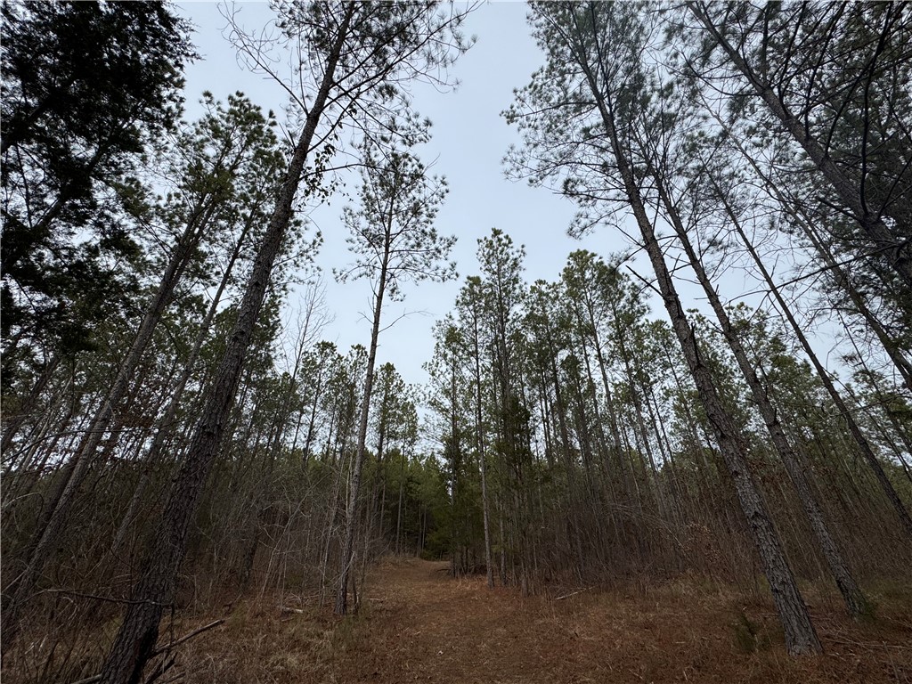 136 Highway 28 South