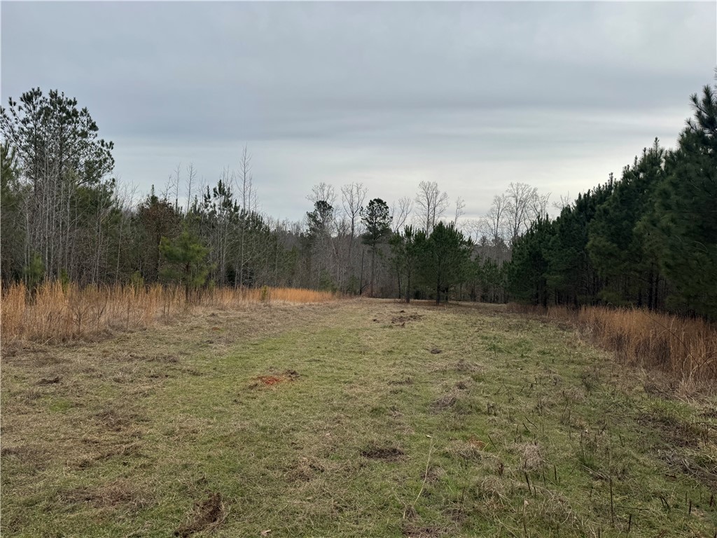 136 Highway 28 South