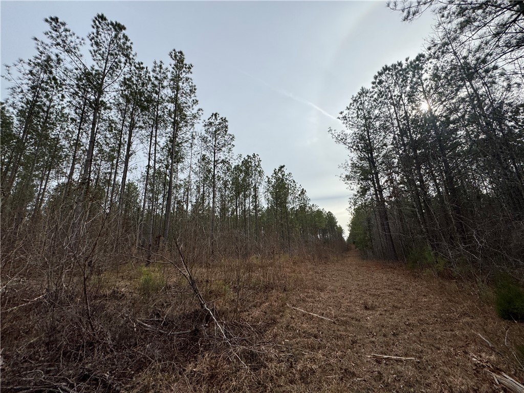 136 Highway 28 South