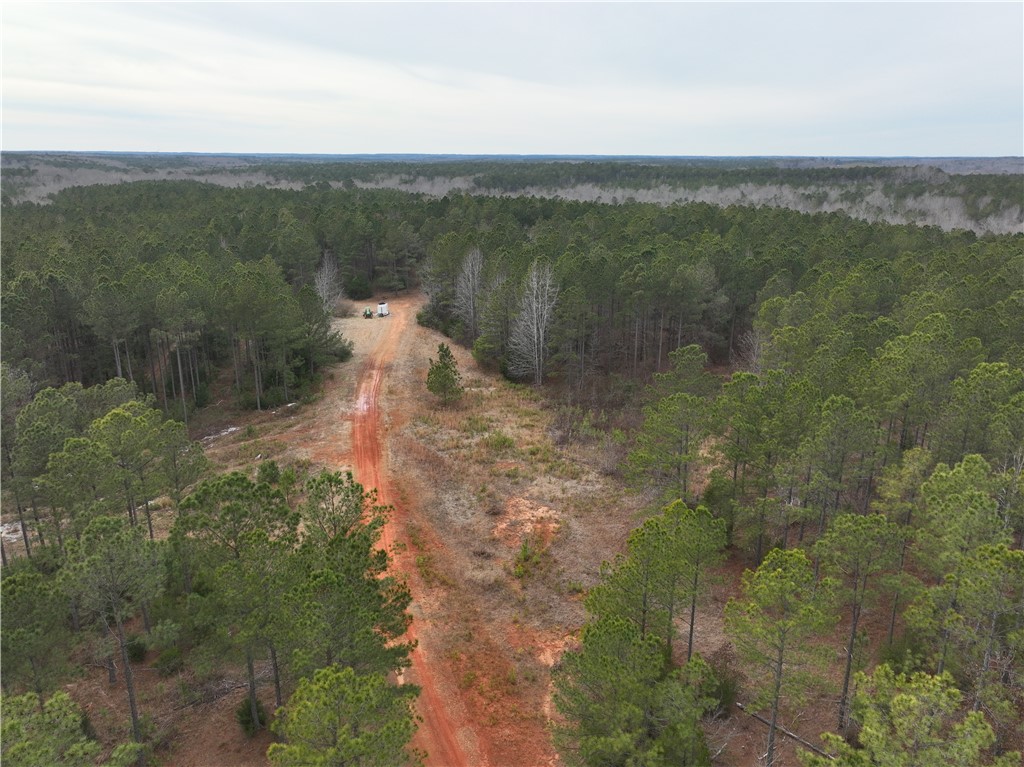 136 Highway 28 South