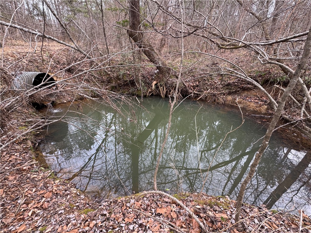 136 Highway 28 South