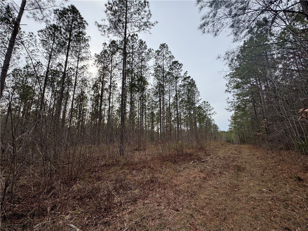 136 Highway 28 South