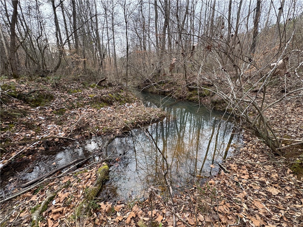 136 Highway 28 South