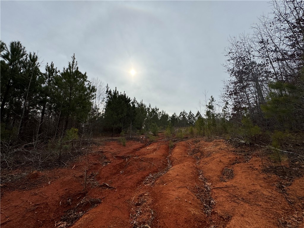 136 Highway 28 South