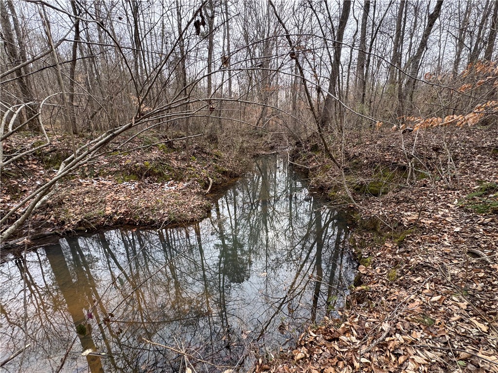 136 Highway 28 South