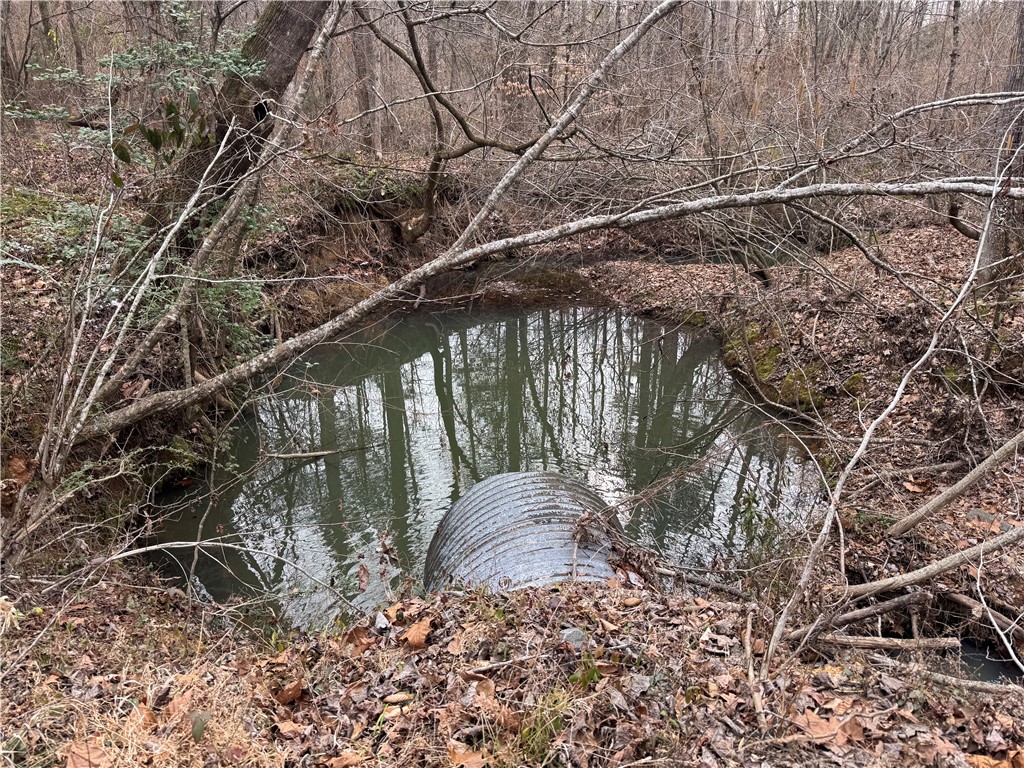 136 Highway 28 South