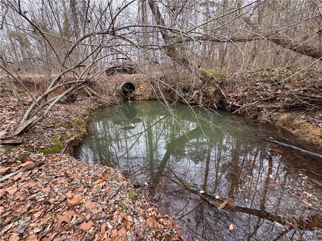 136 Highway 28 South