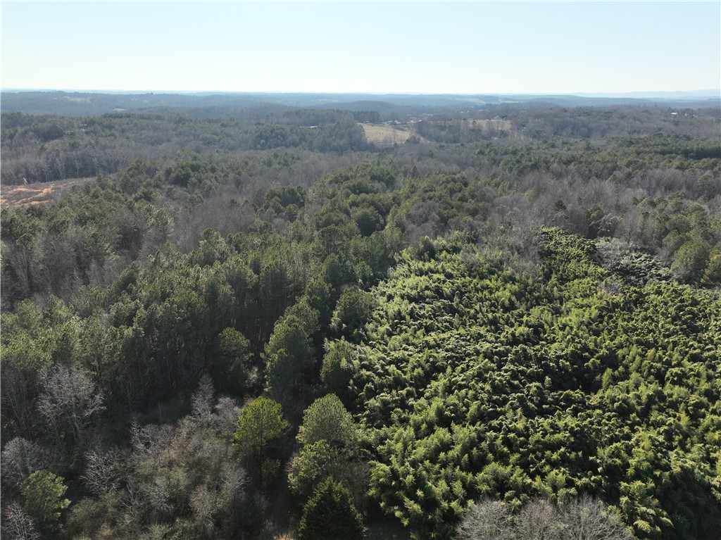 61 Highway 145