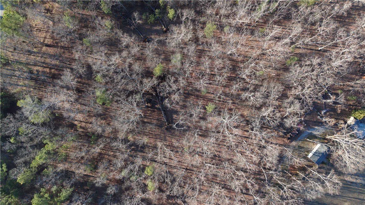 Lot 16 Monticello Court