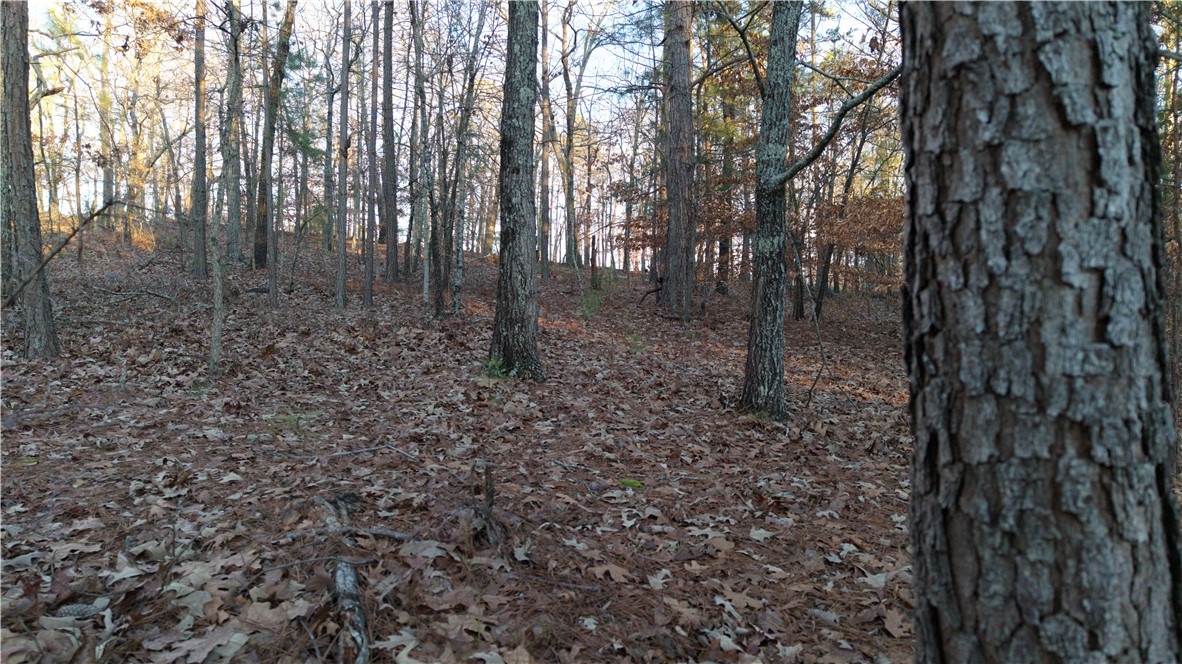 Lot 16 Monticello Court