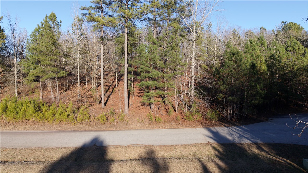 Lot 16 Monticello Court
