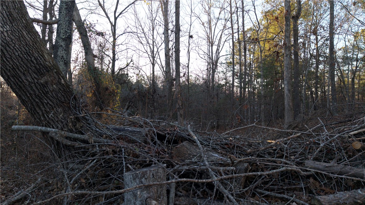 Lot 16 Monticello Court