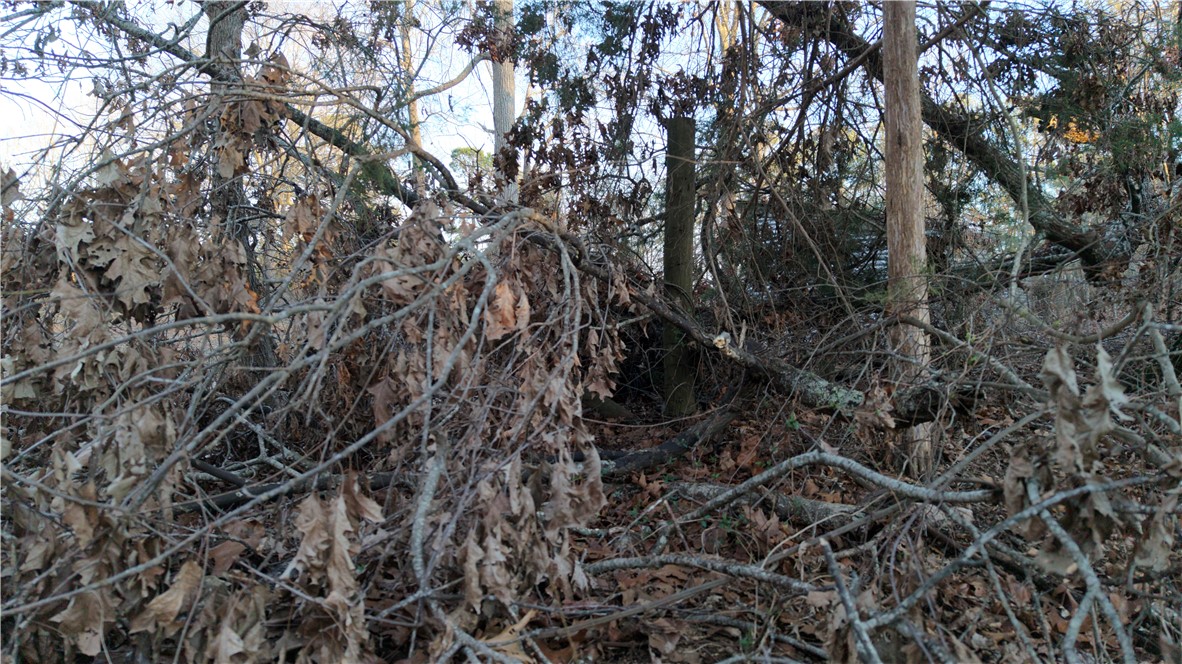 Lot 16 Monticello Court