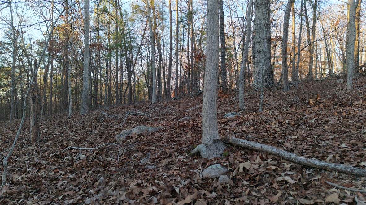 Lot 16 Monticello Court