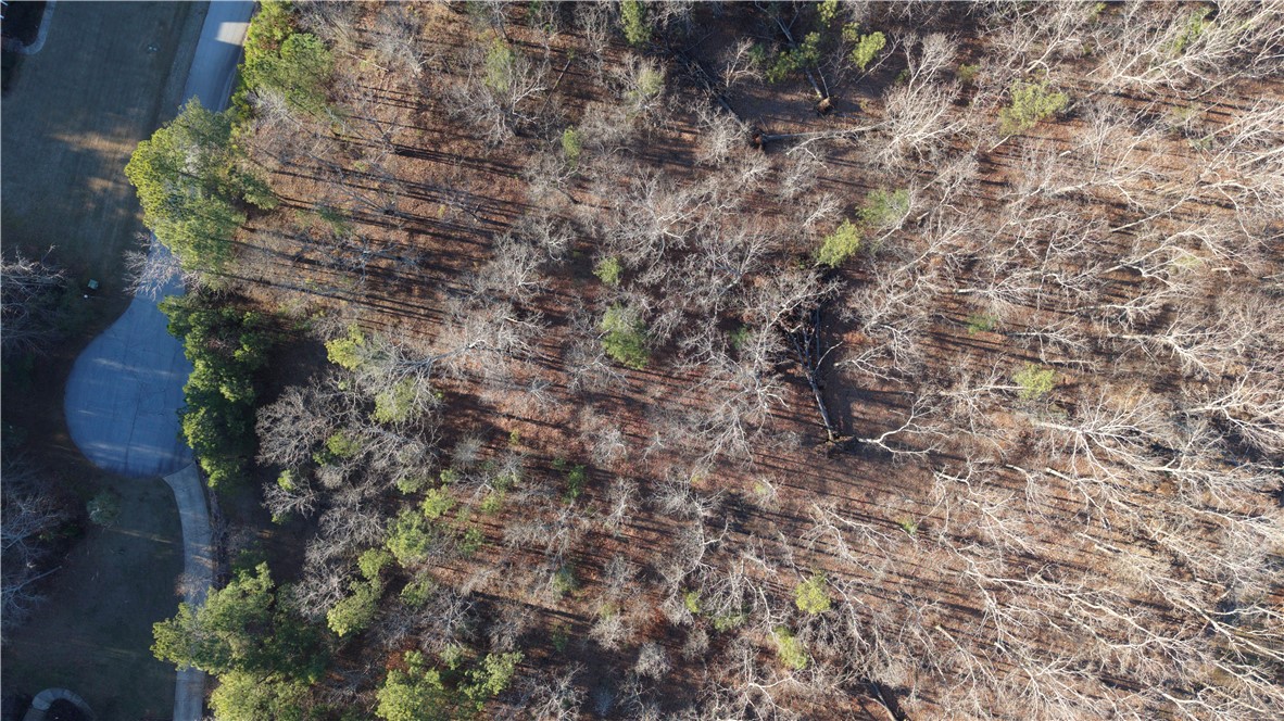 Lot 16 Monticello Court