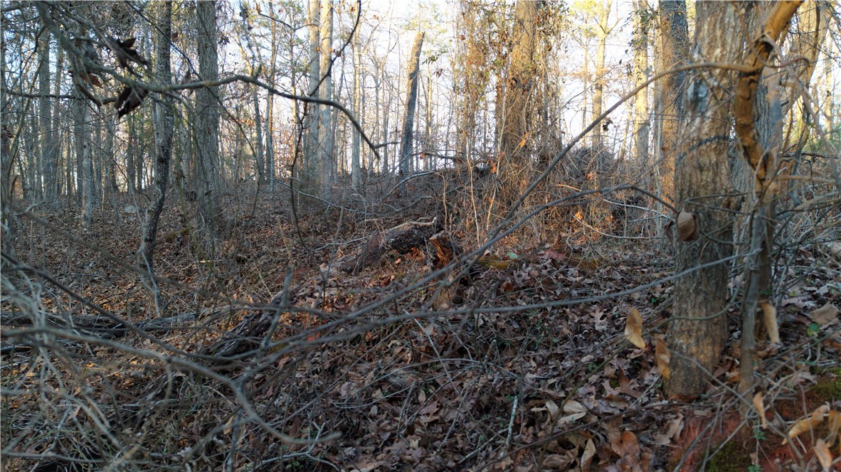 Lot 16 Monticello Court