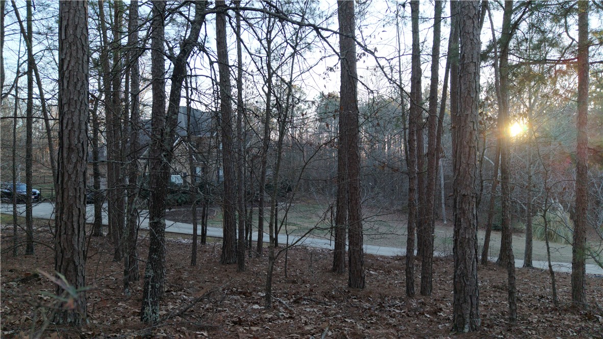 Lot 16 Monticello Court