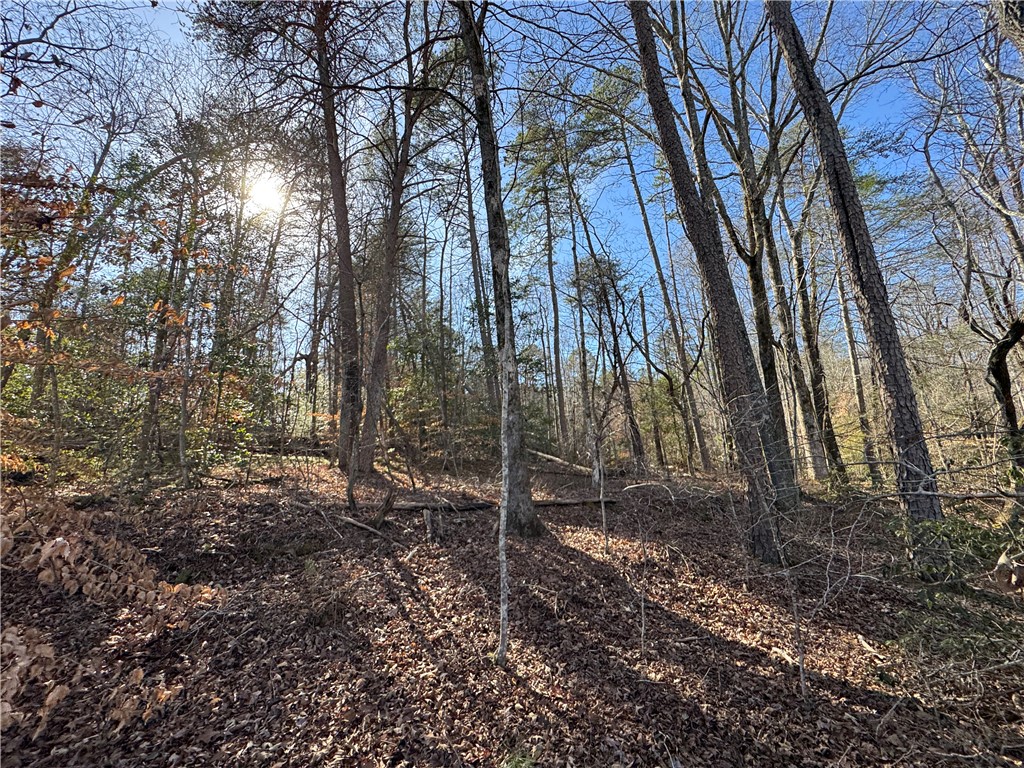 Tract A Old Unity Road