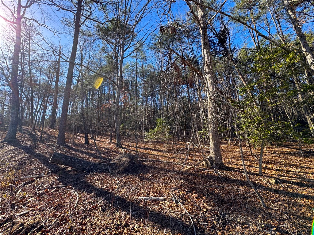 Tract B Old Unity Road