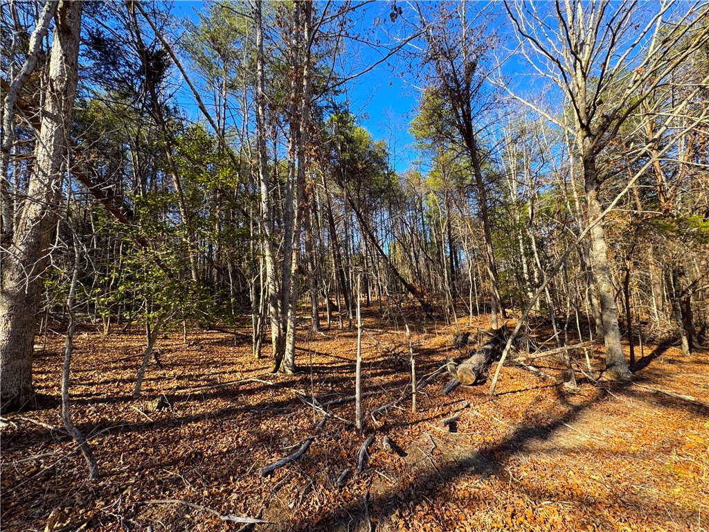 Tract B Old Unity Road
