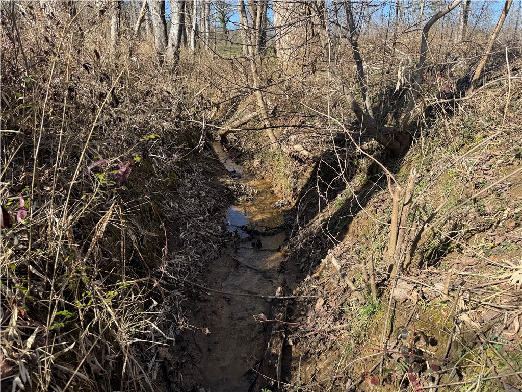 Tract C Old Unity Road