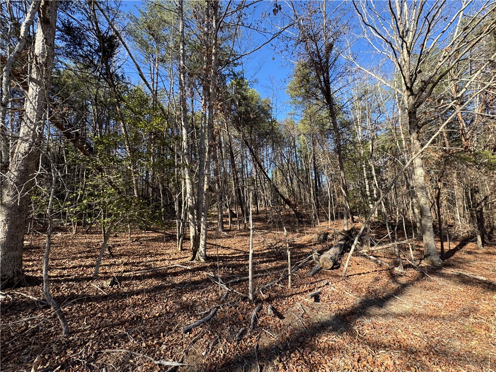 Tract A+B Old Unity Rd Road