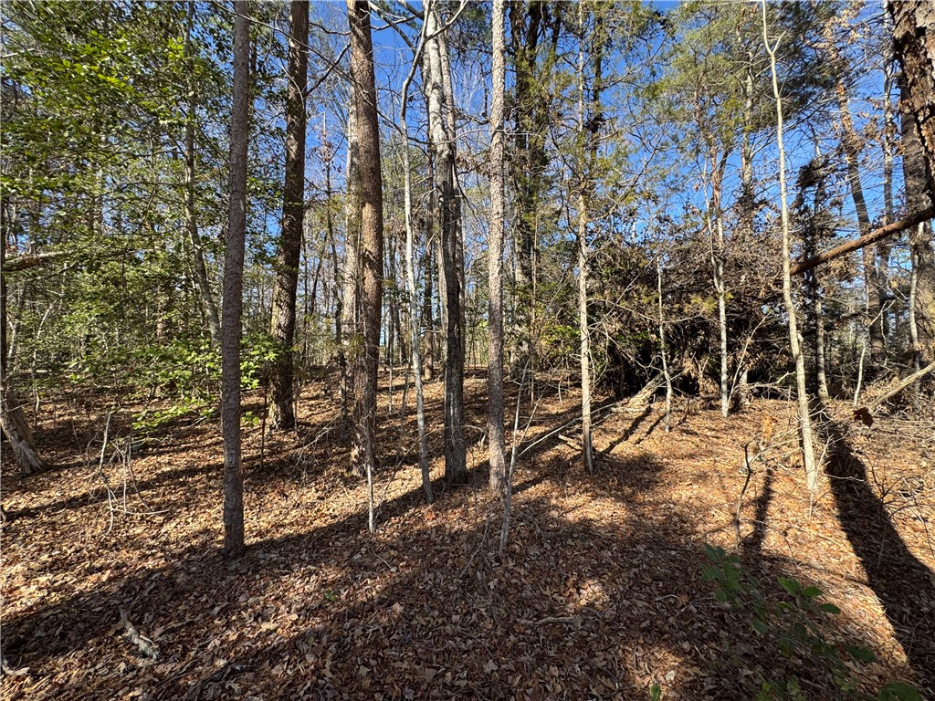 Tract A+B Old Unity Rd Road