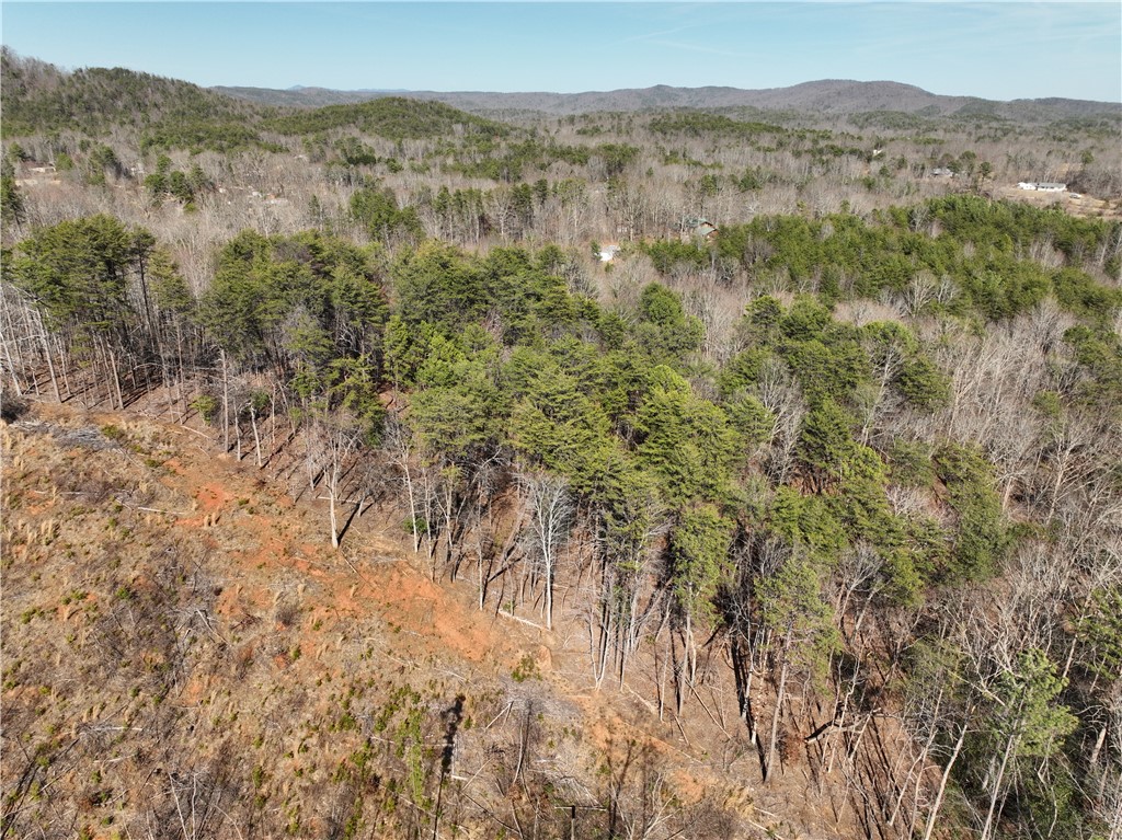 Tract A+B Old Unity Rd Road