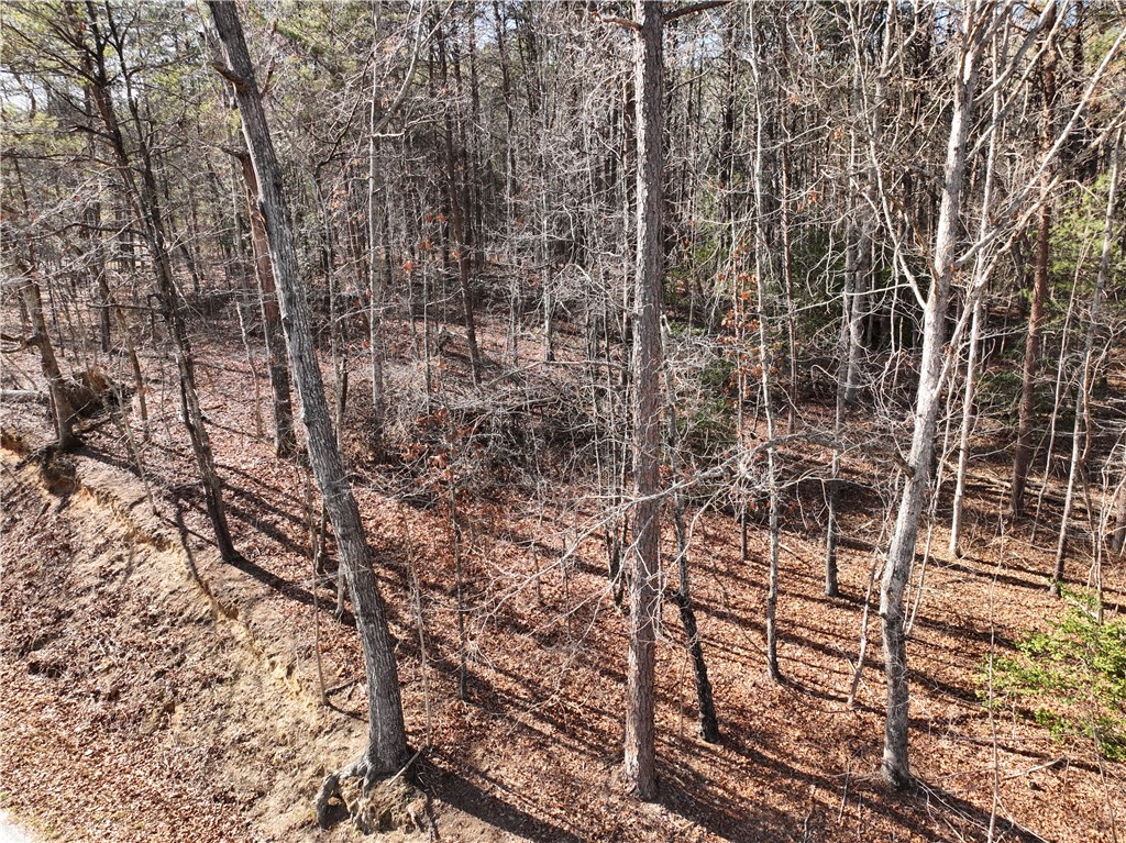 Tract A+B Old Unity Rd Road